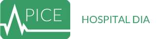 Logo APICE HOSPITAL DIA