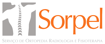 Logo SORPEL SERVIÇOS DE ORTOPEDIA